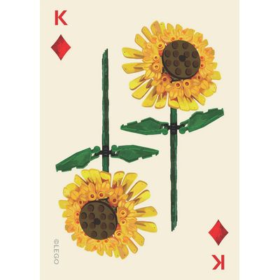Chronicle Books LEGO® Sada botanických hracích karet