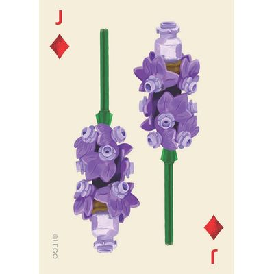 Chronicle Books LEGO® Sada botanických hracích karet