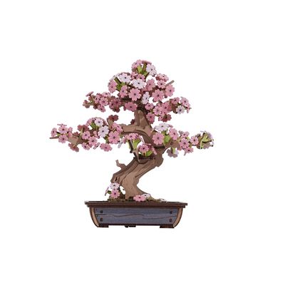 RoboTime 3D dřevěná skládačka Bonsaj sakura