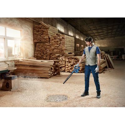 Bosch GBL 18V-120 Professional (0.601.9F5.100)