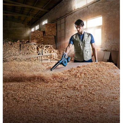 Bosch GBL 18V-120 Professional (0.601.9F5.100)