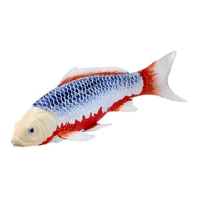 Mojo Kapr koi asagi