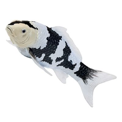 Mojo Kapr koi shiro utsuri