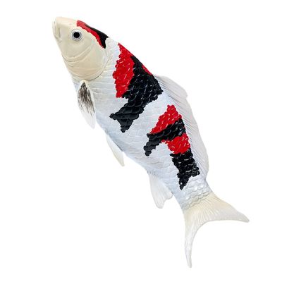 Mojo Kapr koi showa sanshoku