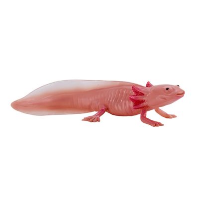 Mojo Axolotl