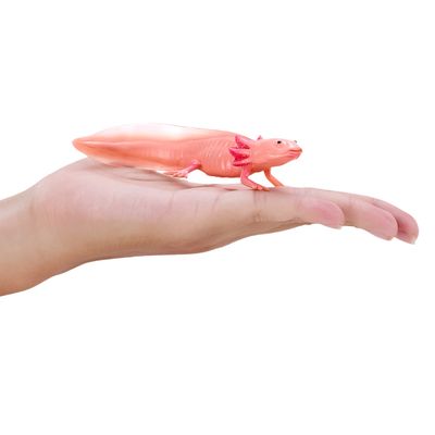 Mojo Axolotl