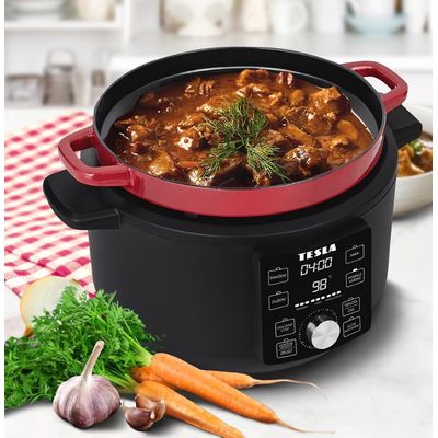 TESLA MultiCook MC600 Pro