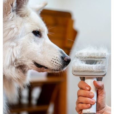 TESLA PetCare Station Pro TQ500