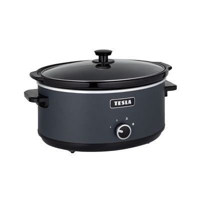 TESLA SlowCook S500