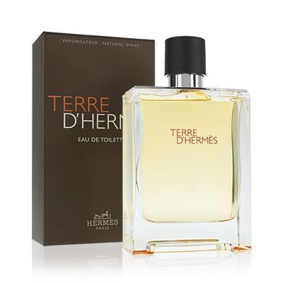 Hermes Terre dHermes EdT 50 ml Pro muže