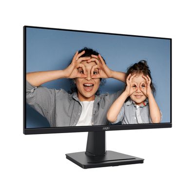 MSI Pro MP225V