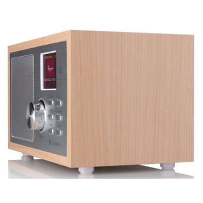 GoGEN DAB 620 BTCS, hnědý/stříbrný