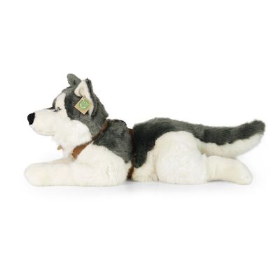 Rappa Plyšový pes husky s obojkem ležící 60 cm ECO-FRIENDLY