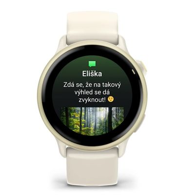 Garmin vivoactive 6 Lunar Gold / řemínek Bone