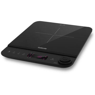Salente InductPro1