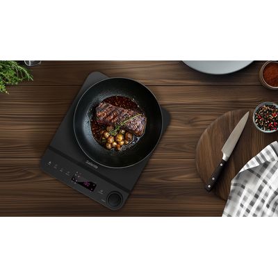 Salente InductPro1