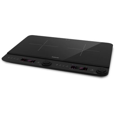 Salente InductPro2