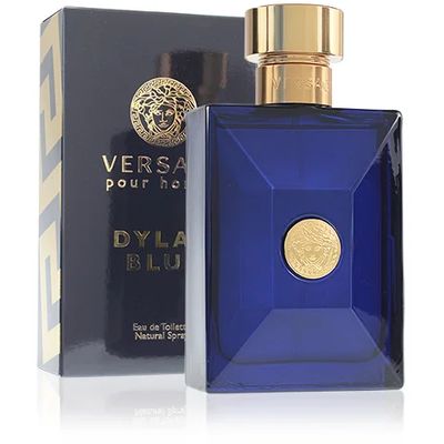 Versace Dylan Blue Pour Homme toaletní voda 50 ml Pro muže