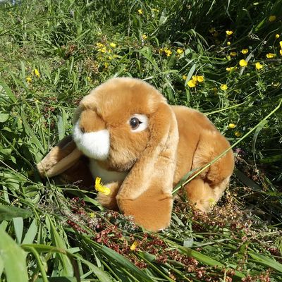 Rappa Plyšový králík hnědý 25 cm ECO-FRIENDLY