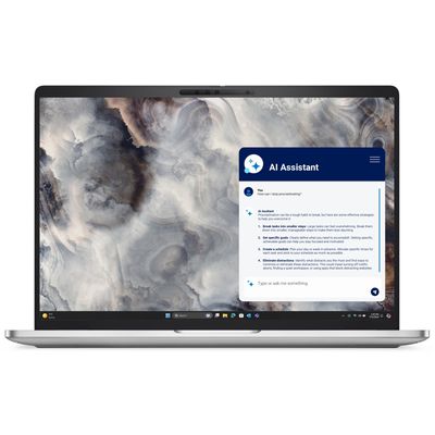 DELL Pro 16 Plus PB16250 (1WRWF)