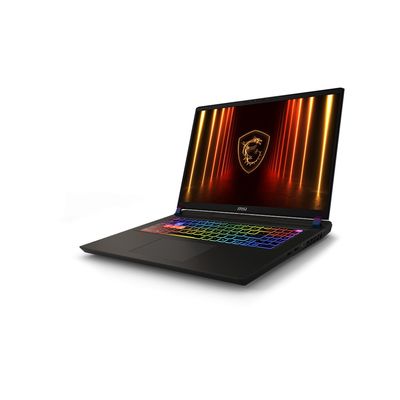 MSI Vector 17 HX AI A2XWJG-031CZ
