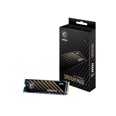 MSI SPATIUM M450 1TB