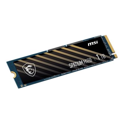 MSI SPATIUM M450 1TB