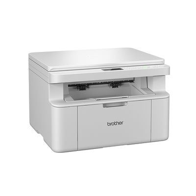 Brother DCP-L1630W