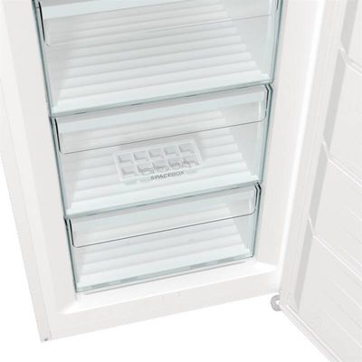 Gorenje FN619EEW5