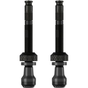 Schwalbe ventilek Tubeless SCV sada 2ks 40 mm